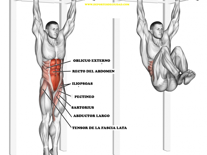 abdominales colgado en barra