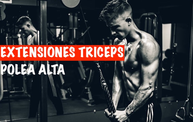 triceps-polea