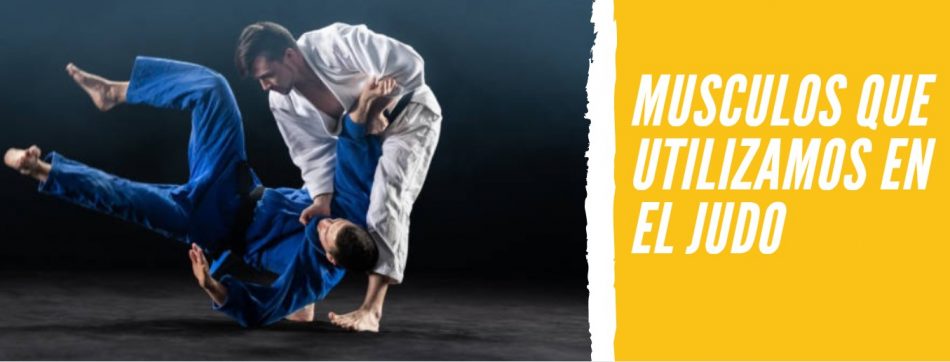 musculos judo